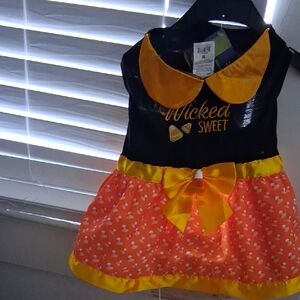 Wicked Sweet Halloween Dress